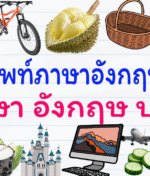 ภาษาอังกฤษ ป.3 เรียนอะไรบ้าง? คำศัพท์และประโยคพื้นฐานที่ต้องรู้